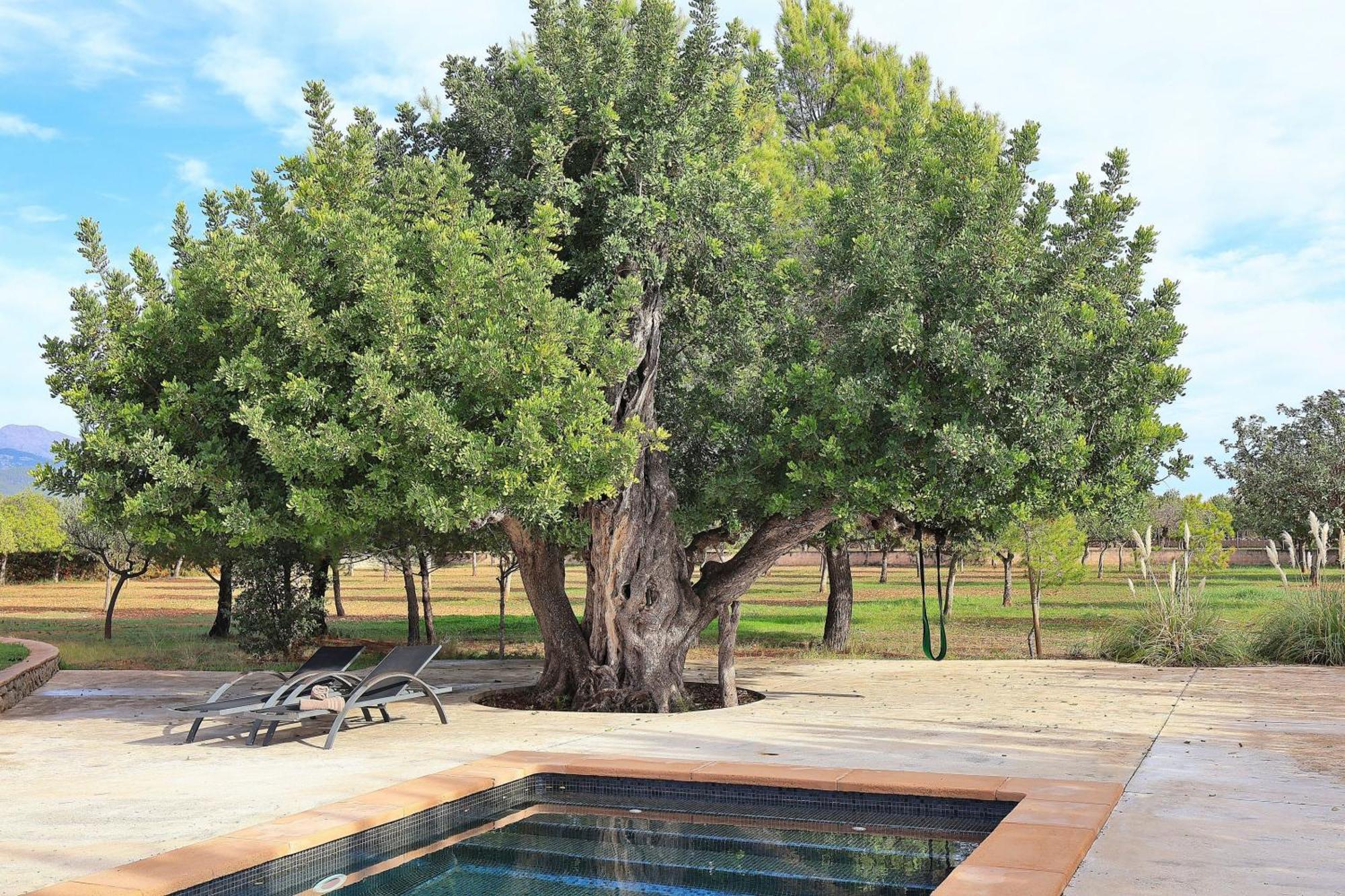ביניסלם 151 Villa Es Triquet Et3366 By Mallorca Charme מראה חיצוני תמונה